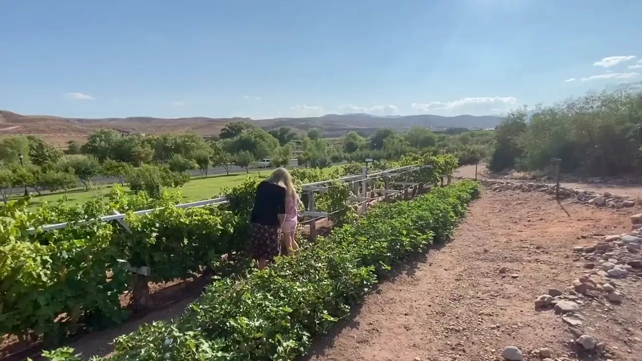 Jacob Hamblin Home Garden